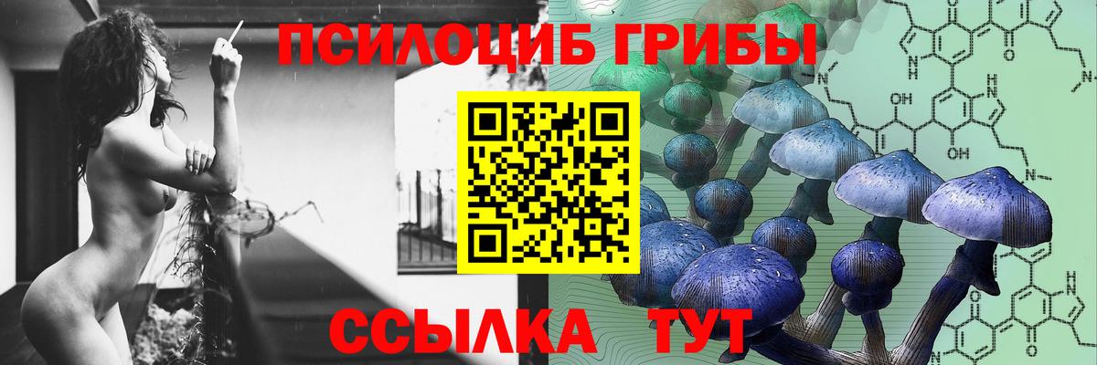 Псилоцибиновые грибы Psilocybe Улан-Удэ